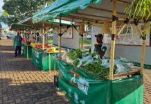 Feira do Produtor Rural de Ilha Solteira será reinaugurada dia 24 de outubro