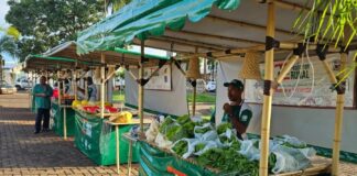 Feira do Produtor Rural de Ilha Solteira será reinaugurada dia 24 de outubro